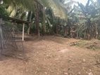 Land For Sale in Homagama