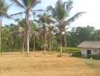 Land for Sale in Homagama