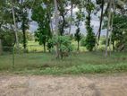 Land for Sale in Homagama Habarakada