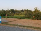 Land for Sale in Homagama Jalthara Embulgama, Arama Road