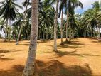 Land for sale in Homagama kiriwaththuduwa