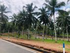 Land for Sale In Homagama kiriwaththuduwa