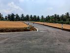 Land for sale in Homagama kiriwaththuduwa