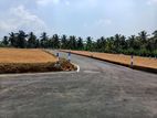Land for Sale In Homagama kiriwaththuduwa
