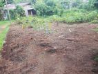 Land for sale in Homagama, Kiriwaththuduwa Road