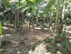 Land for Sale in Homagama, Kiriwatthuduwa