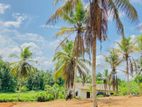 Land for Sale In Homagama කොට්ටාව තලගල බස් පාරට සමීපයෙන්