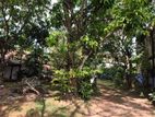 Land for Sale in Homagama Ls694
