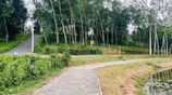 Land for Sale in Homagama - Near NSBM