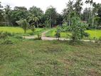 Land for sale in Homagama ( Pitipana )