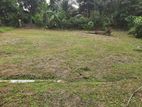 Land for Sale in Homagama Pitipana