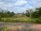 Land for Sale in Homagama Pitipana