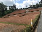 Land for Sale in Homagama Pitipana