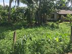 Land for Sale in Homagama Pitipana