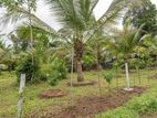Land for sale in Homagama Pitipana
