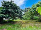 Land for Sale in Homagama ,pitipana