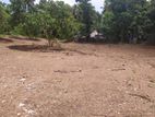Land for Sale in Homagama Pitipana Road