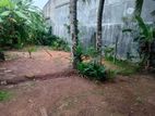 Land for Sale in Homagama (SSPL-139)