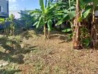 Land For Sale in Homagama (SSPL-173)