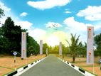Land for Sale in Homagama Talagala