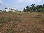 LAND FOR SALE IN HOMAGAMA THA 045 L