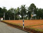 Land for sale in Homagama - Thalagala