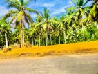 Land for Sale in Homagama Thalagala