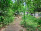 Land for sale in Homagama Thalagala