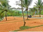 Land For Sale in Homagama - Thalagala