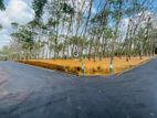 Land for sale in Homagama Thalagala