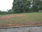 Land for sale in Homagama Thalagala
