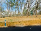 Land for sale in Homagama Thalagala