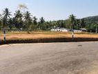 Land for sale in Homagama Thalagala