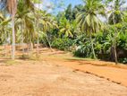 Land for Sale in Homagama Thalagala