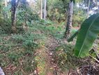 Land for Sale in Homagama - Watareka Station