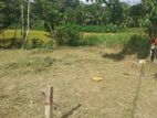 Land for sale in Homagama,thalagala