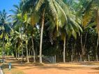 Land for Sale in හෝමාගම