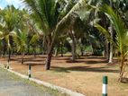 Land For Sale In Horana 10p