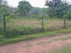 Land for Sale in Horana