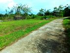 Land for sale in Horana - Aguruwaathota.