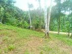 Land for Sale in Horana - Anguruwathota