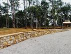 Land for Sale in Horana Ballapitiya