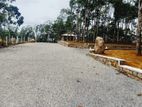 Land for Sale in Horana Ballapitiya