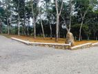 Land for sale in Horana Ballapitiya