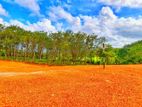 Land For Sale in Horana (Ballapitiya)