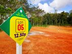 Land for Sale in Horana - Ballapitiya