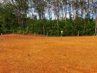 Land For Sale in Horana - Ballapitiya