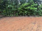Land for Sale in Horana / Ca 13677