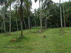 Land for Sale in Horana CL - 647