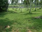 Land for Sale in Horana Cl - 647